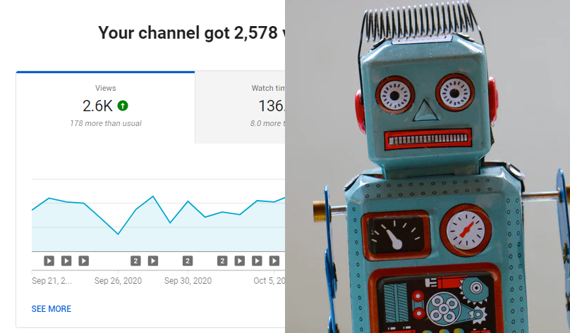 do-youtube-view-bots-work